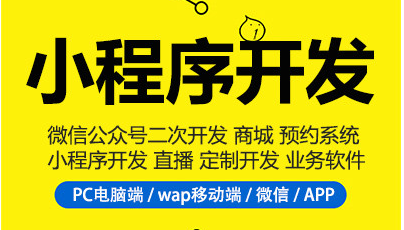制作小程序，不知道小程序分類，小程序制作很難